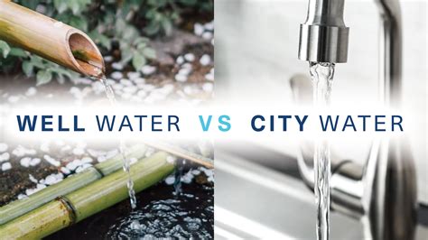 well vs city water|community water system.